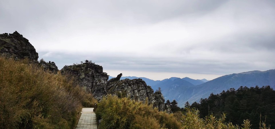 dLkqzDXEIKeXs8AXqbBe7NR3y7G3PTnLUfaArx01r1UzjXon-EvvsXtqyZfMjN3Q