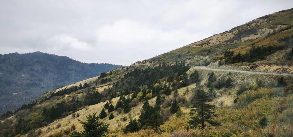 dLkqzDXEIKeXs8AXqbBe7Bdq2GKRNFOSH7qNEWhIej5ZenMdvf0feEmDp_87S_8b