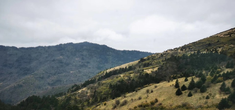 dLkqzDXEIKeXs8AXqbBe7N7kgunePkgJvZbuTbnd1aQjZAoXvMSguSKDumaI3WZU