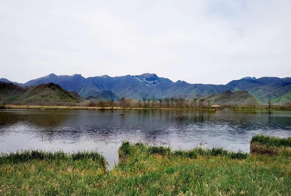 dLkqzDXEIKeXs8AXqbBe7JDgxzf20olFisjihomUTWduq0rzAUOLwHFRmCtqR-9V