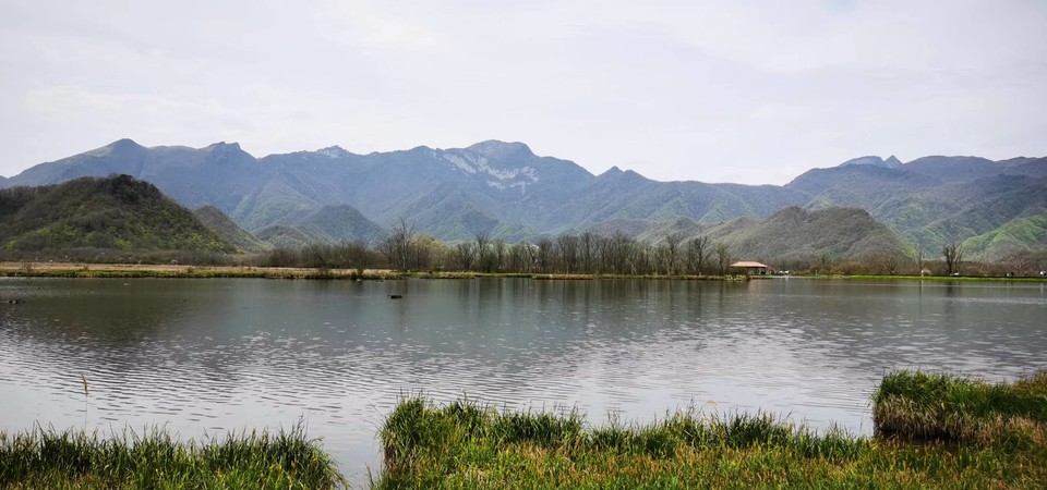 dLkqzDXEIKeXs8AXqbBe7FAwX3tGrz9pSpYTQcwcwHE4t70OD8vQ0iuo4pzhdMFZ