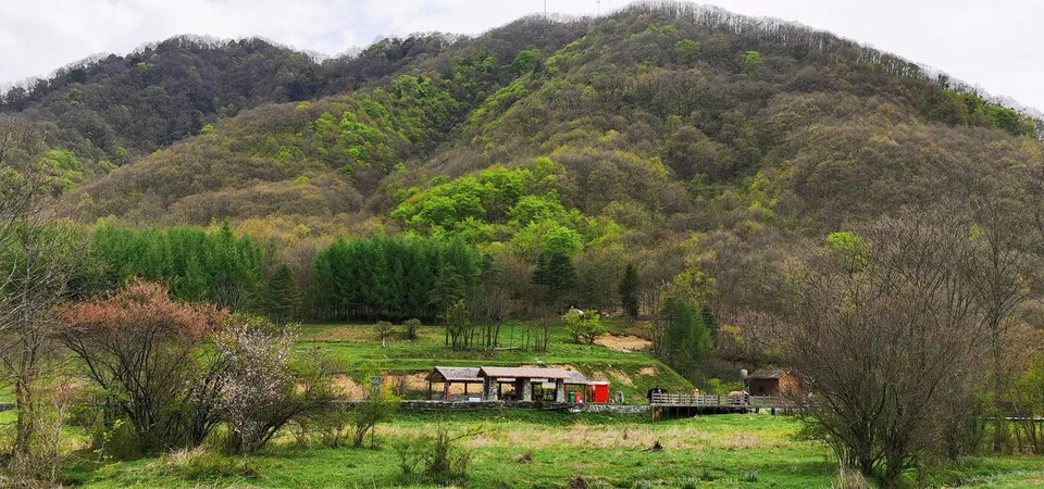 dLkqzDXEIKeXs8AXqbBe7KZGN0d3Br1MVtfdoW6Tt26IDavHXOttjdd_pIuUg6rb