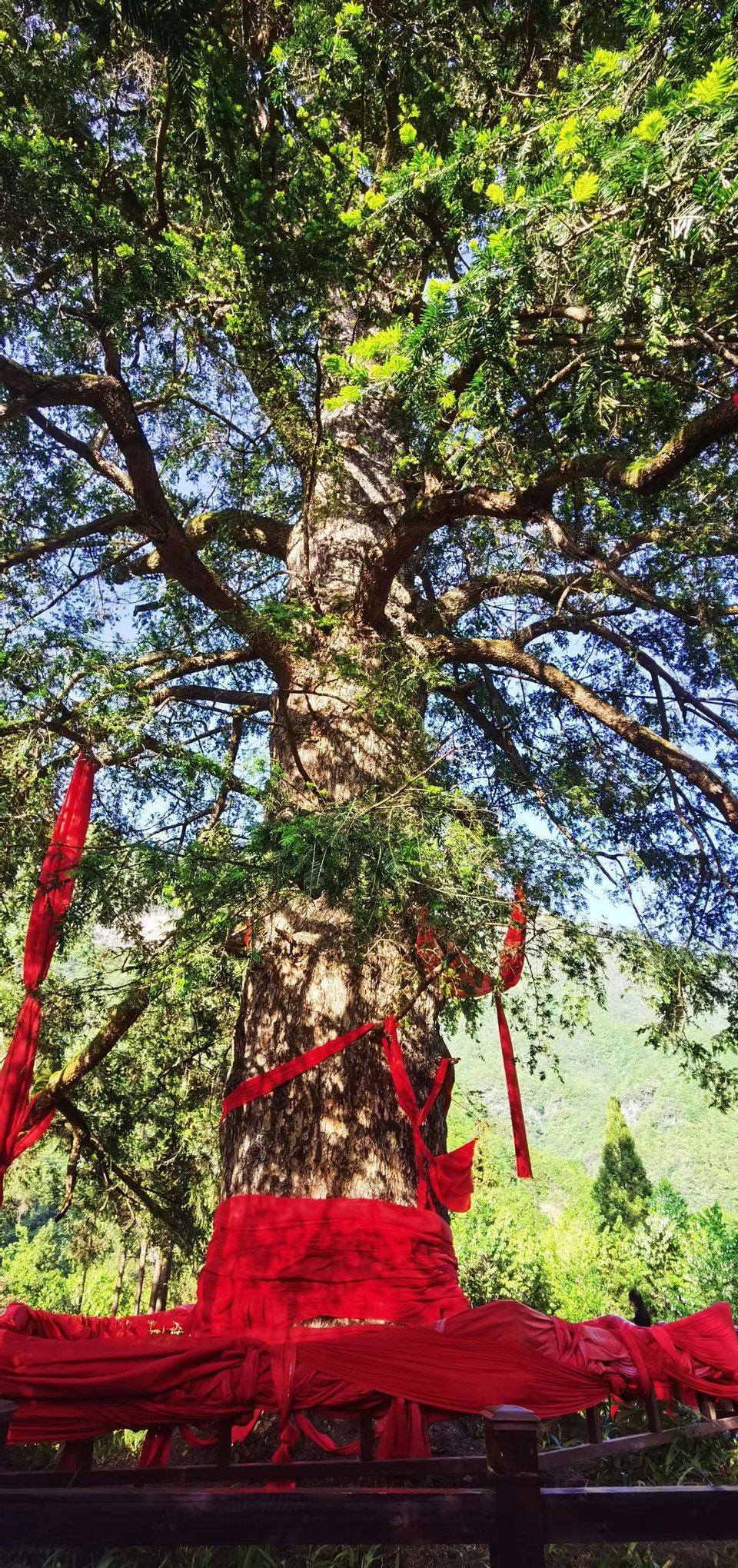 dLkqzDXEIKeXs8AXqbBe7NFGd1noOHqk3QfxywhXRCpBx14wdAnBs5BcutJmkeUs