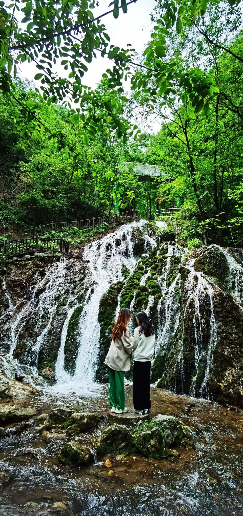 5I9JzBsd_S5ScIeQ_x_uoqmQyd6lfoBuaLp1L_EbPK3jZDaA321osY49K24h19p5