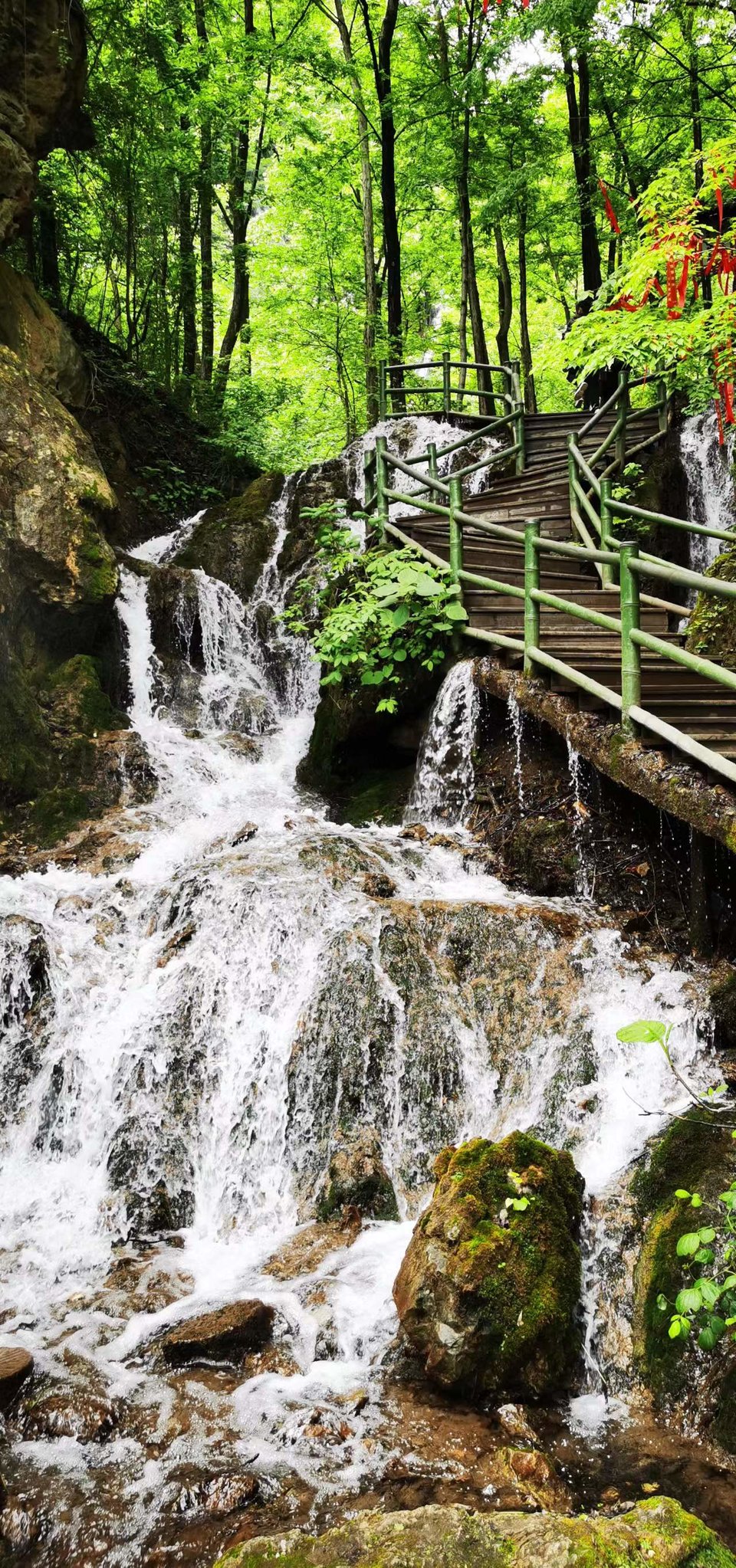 5I9JzBsd_S5ScIeQ_x_uoonA_Del3skzfVzd7abUpLZBuUEZ6g2oV8Rv_8Fz090Q