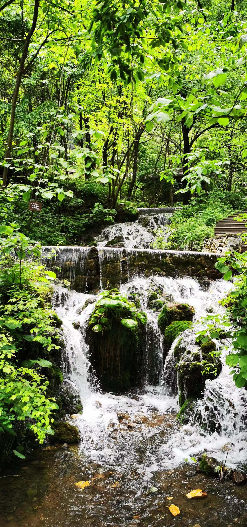 5I9JzBsd_S5ScIeQ_x_uouVl2GEUk22UATVmVQFrronrcl8TMEt2Ohg3lBMGd7GS