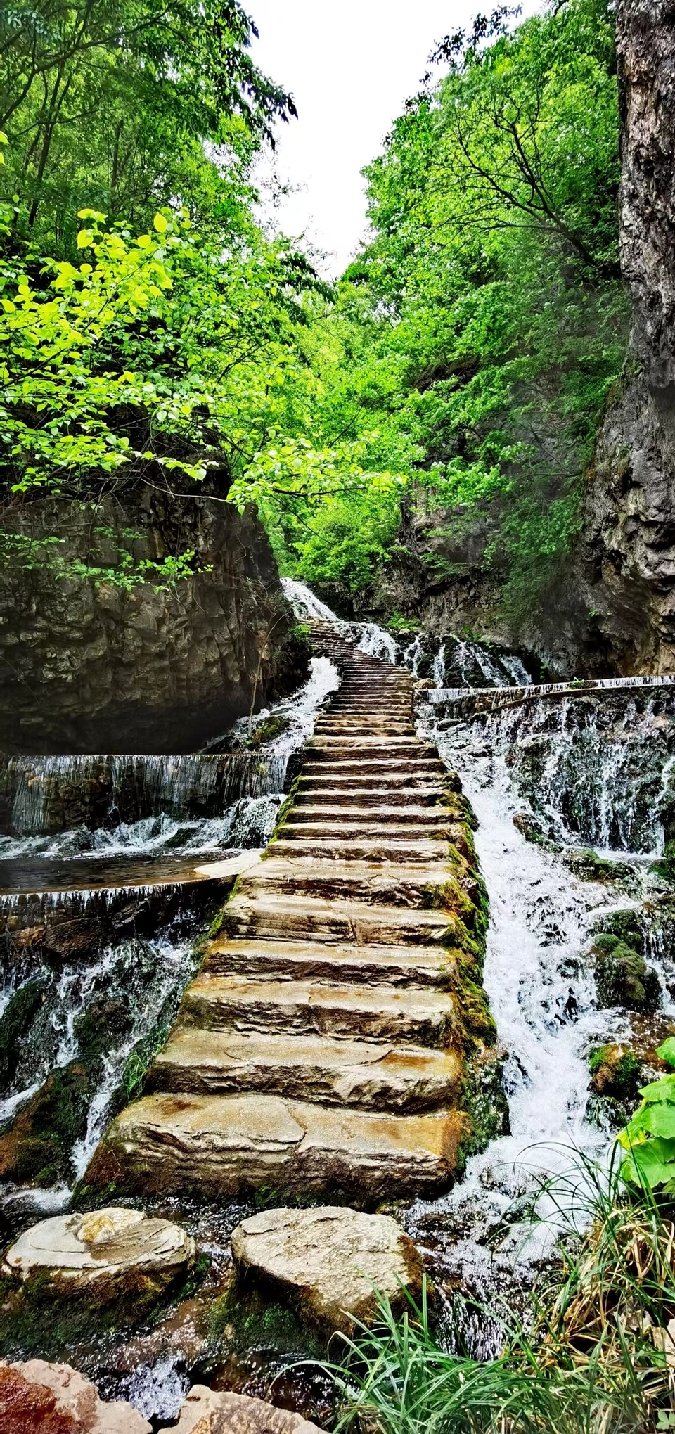 5I9JzBsd_S5ScIeQ_x_uojiqAxCxzY_fsXKdvC3NladPOQ4VfwSwJvx_lc7jmXzo