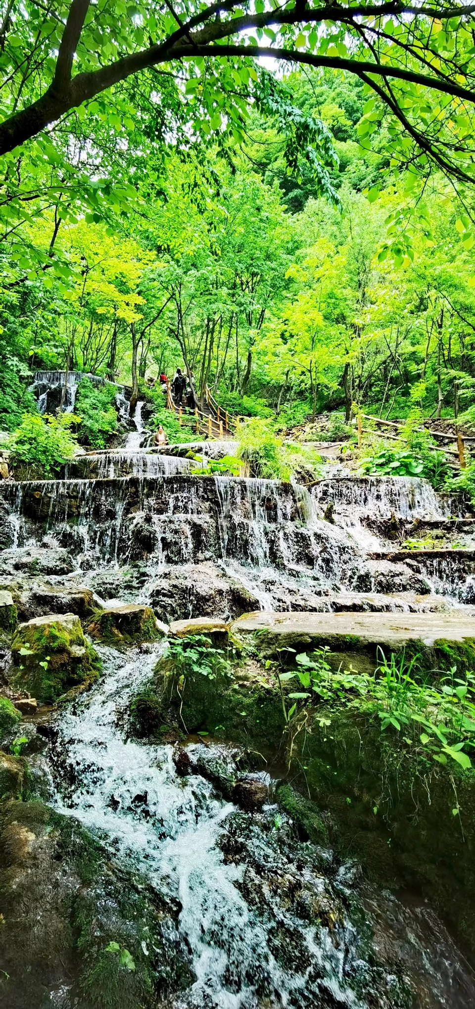 5I9JzBsd_S5ScIeQ_x_uok222kkPVWh-Oh2aUB_-e6jLtrwqsSlY1aHmsMLdlBLi