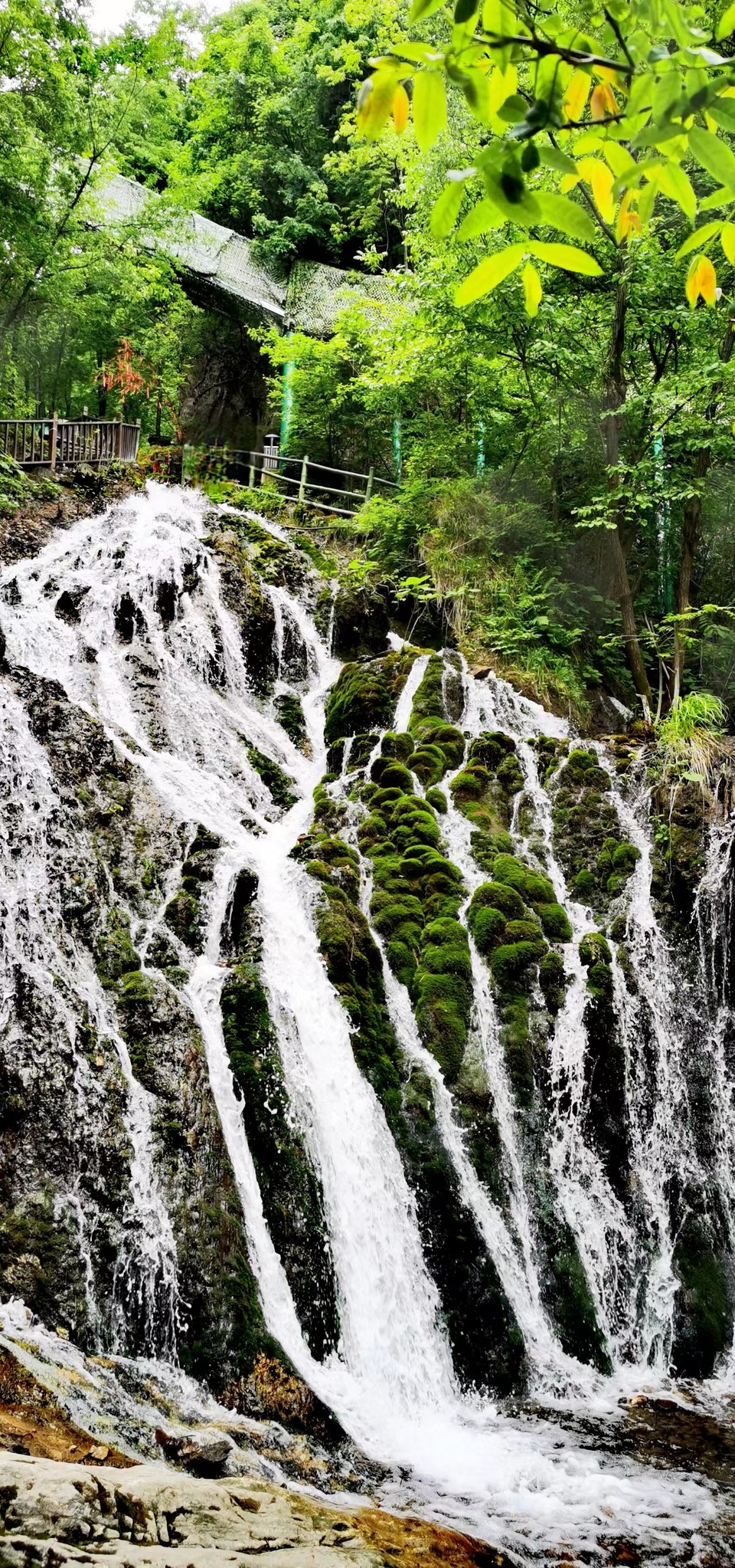 5I9JzBsd_S5ScIeQ_x_uosEzkvLcyHlD73b9KVFacOU7TEWIBpsSABa9hA2ixkFz