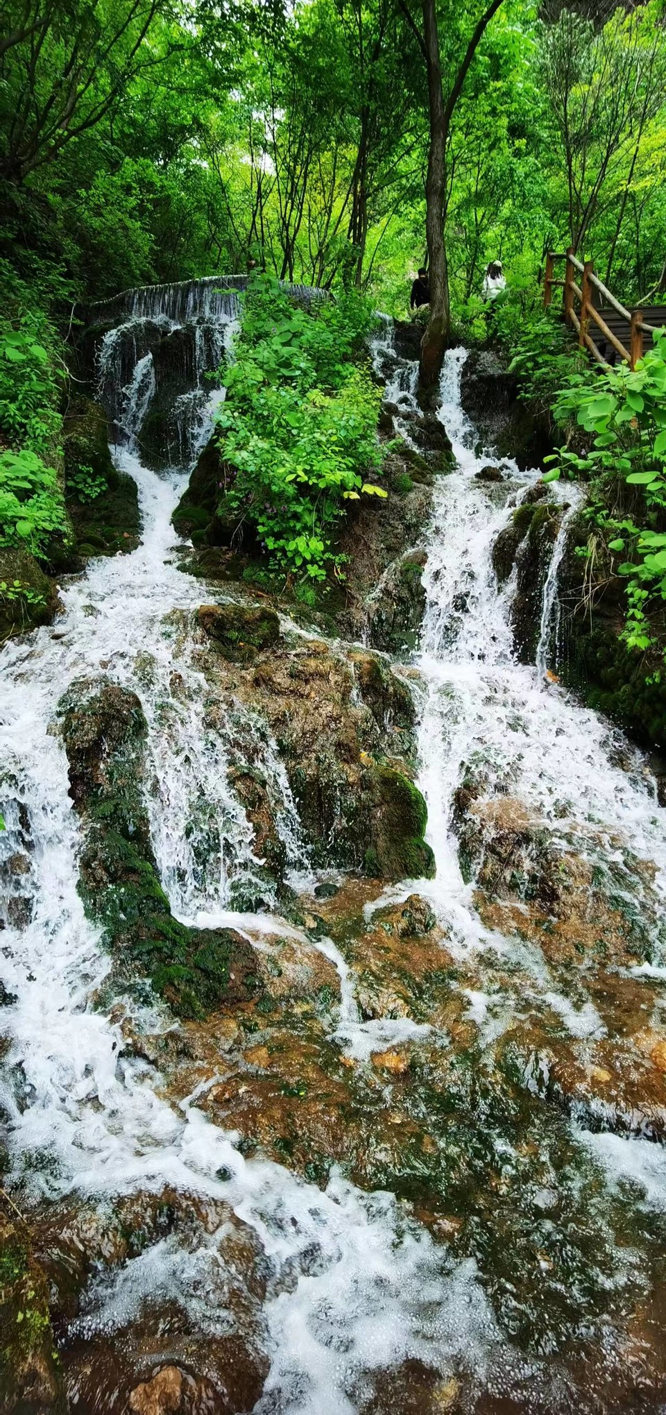 5I9JzBsd_S5ScIeQ_x_uooddH7izR7JDzRuMtq0in9ibeitzRijKLhvMAVhEgfV7