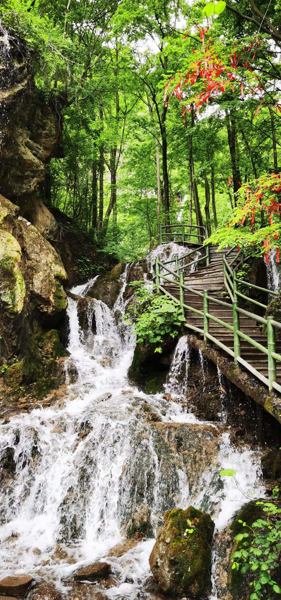 5I9JzBsd_S5ScIeQ_x_uov7sfbuAfT6S7kSTKkBQMAiC-AwdeGiDTRcIR0b5fyJR