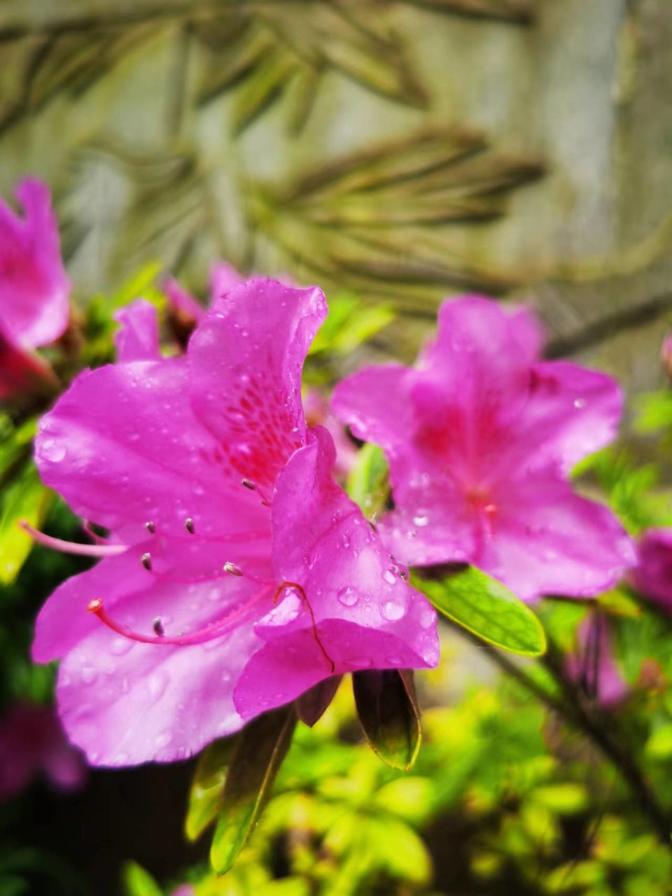 5I9JzBsd_S5ScIeQ_x_uoj0cBivq2I7VsdO8Z3antxGkjx7y7_0Yz7V1qoUIWq_4