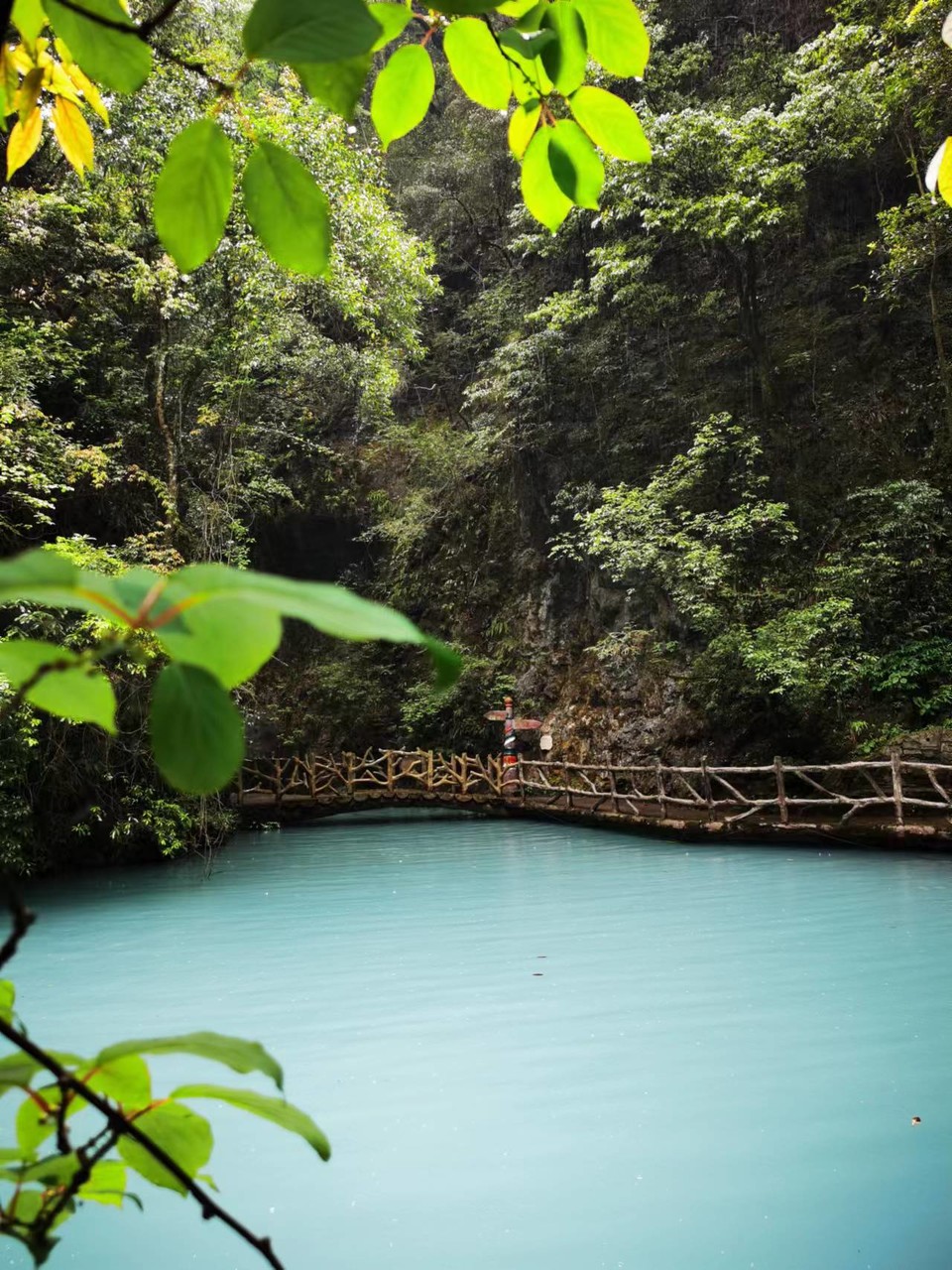 5I9JzBsd_S5ScIeQ_x_uol4v7mb_ibE4R5TnQe7lQ0V_MIwk09h00GBsTO1BIlr1