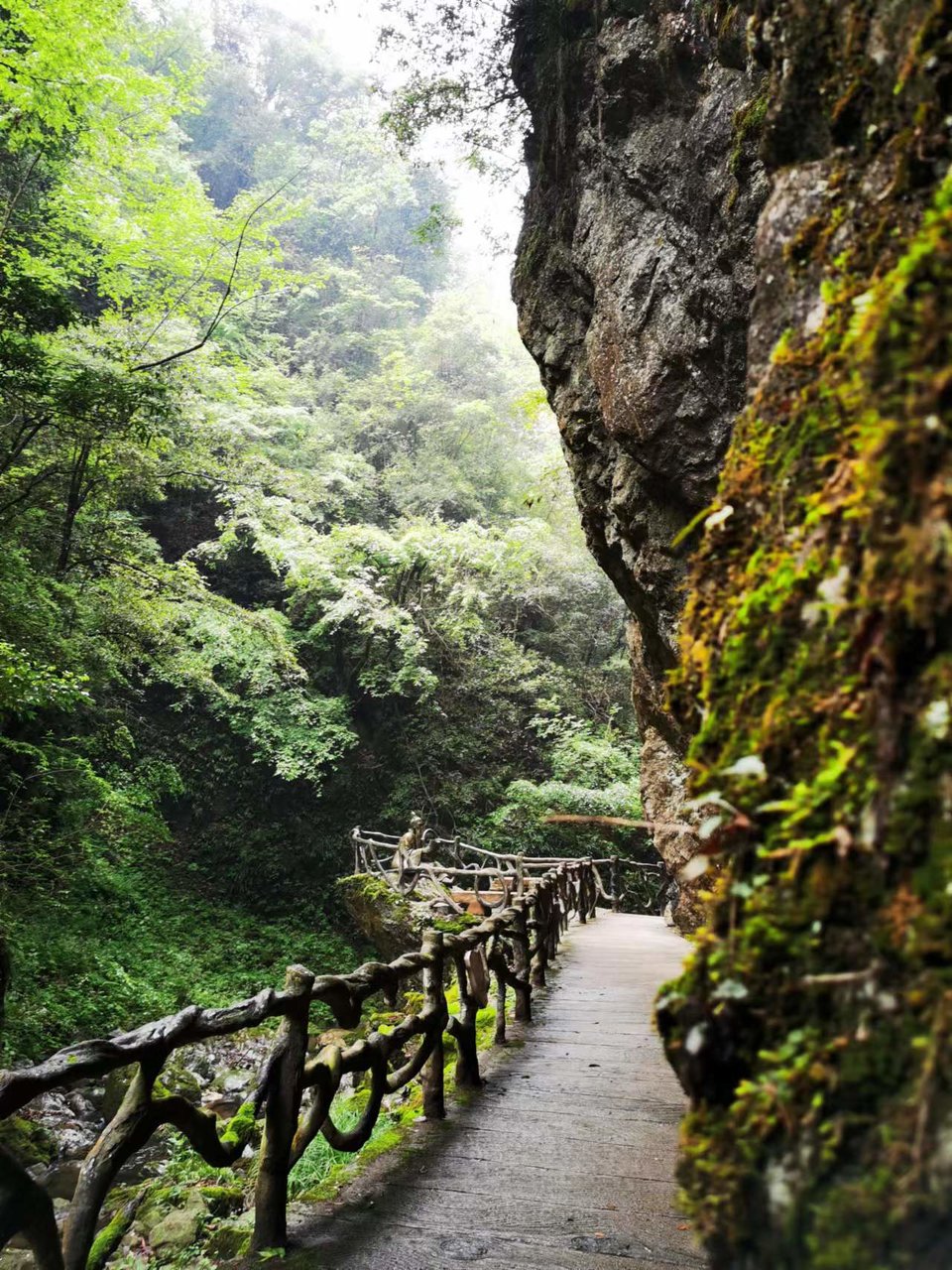 5I9JzBsd_S5ScIeQ_x_uosJ2H97T9TESSns9BSKYb5ygKKbTfwtYx_Aq2A6Lx2Jp