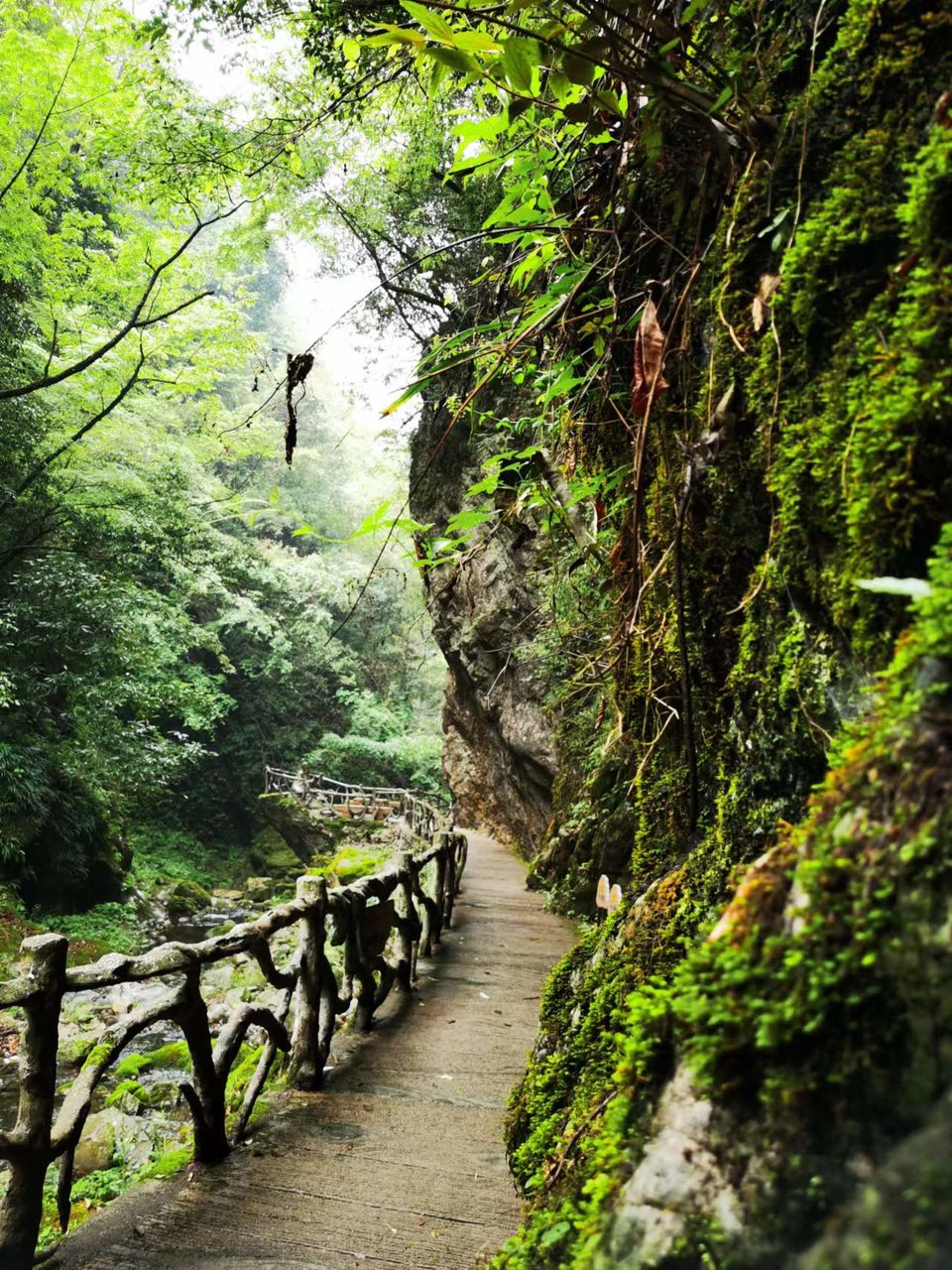 5I9JzBsd_S5ScIeQ_x_uolgGtYCx2GnH4T9qBJLrijqyE9ssP_wkgqrU9_iHnKg7