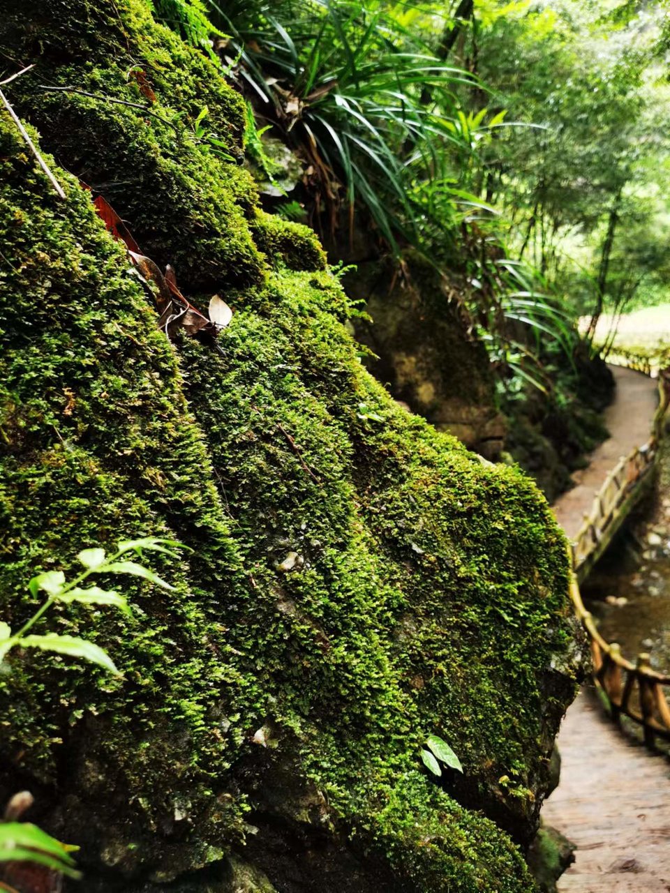 5I9JzBsd_S5ScIeQ_x_uogGZIrXHVpA355WKUhn7iaGpNKK0eC9L5flJw9HKHrfc