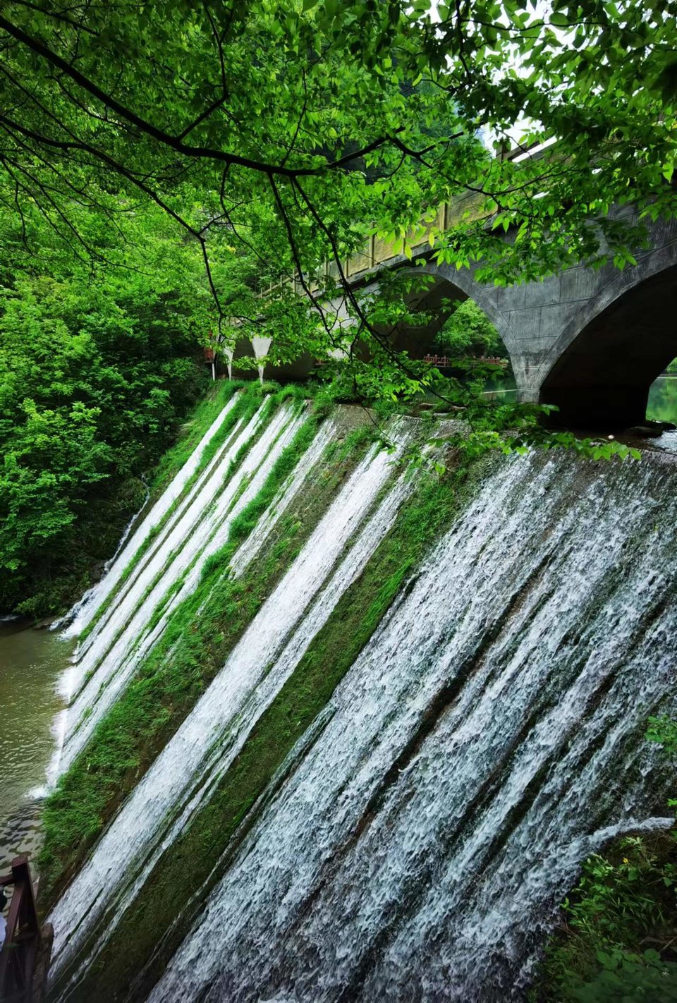 5I9JzBsd_S5ScIeQ_x_uot8V5TLTVZj70_hzq-KunRYTinvWV15pCwWZ7cBJ8Npk