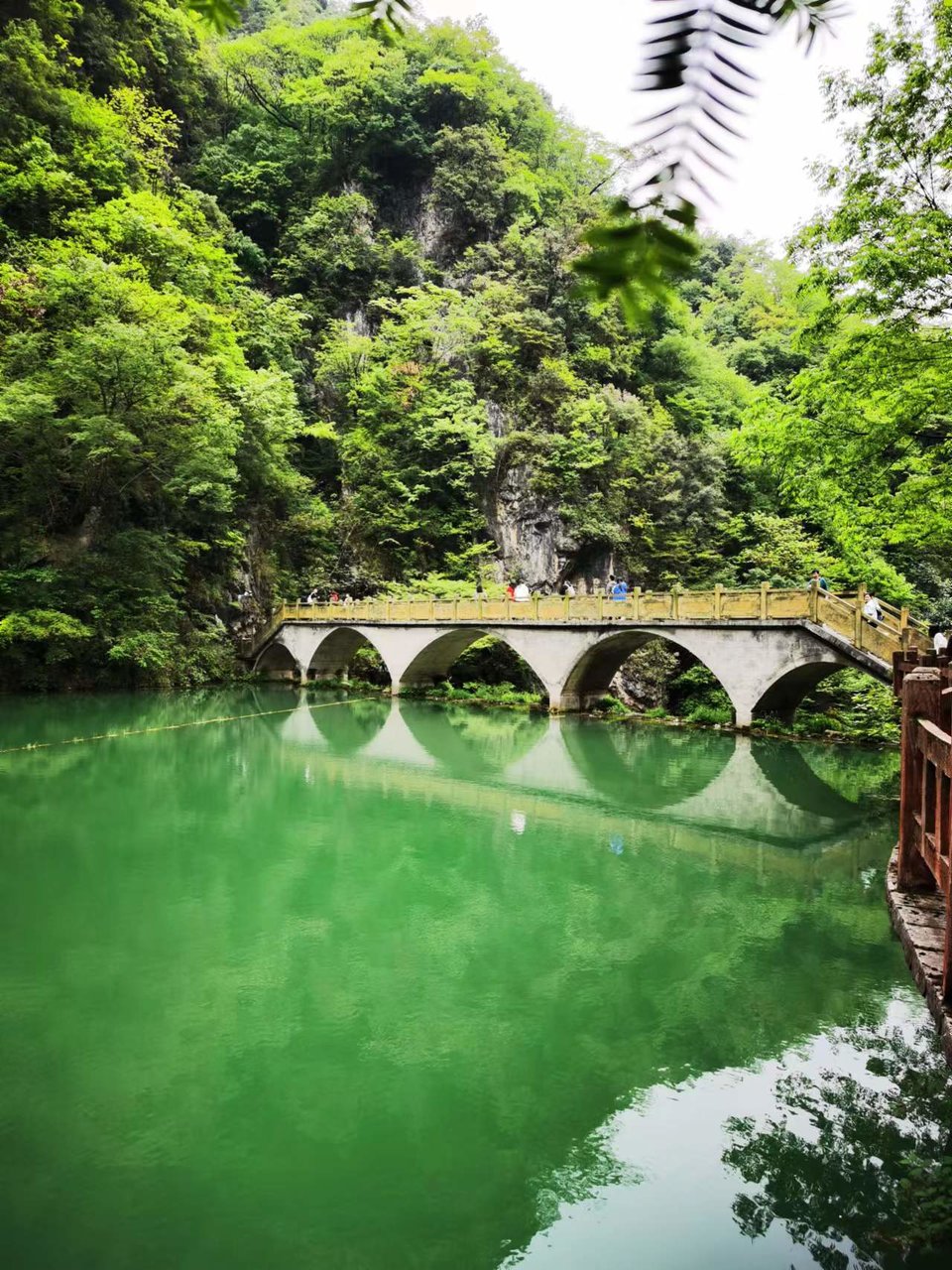 5I9JzBsd_S5ScIeQ_x_uogso9wPMRN-ydL2NEGUTc1EvnexmW8WRV7OD5-srkFWx