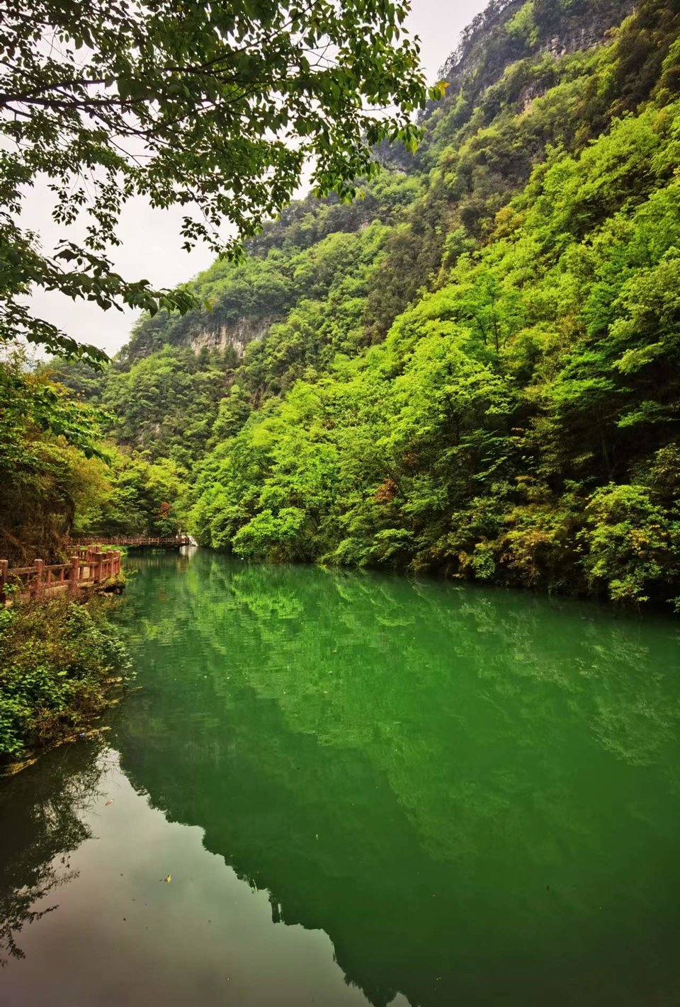 5I9JzBsd_S5ScIeQ_x_uommBS3Zvria2y4mEyi7qld4r1GD8nZ4DtAVWIG4bws_9