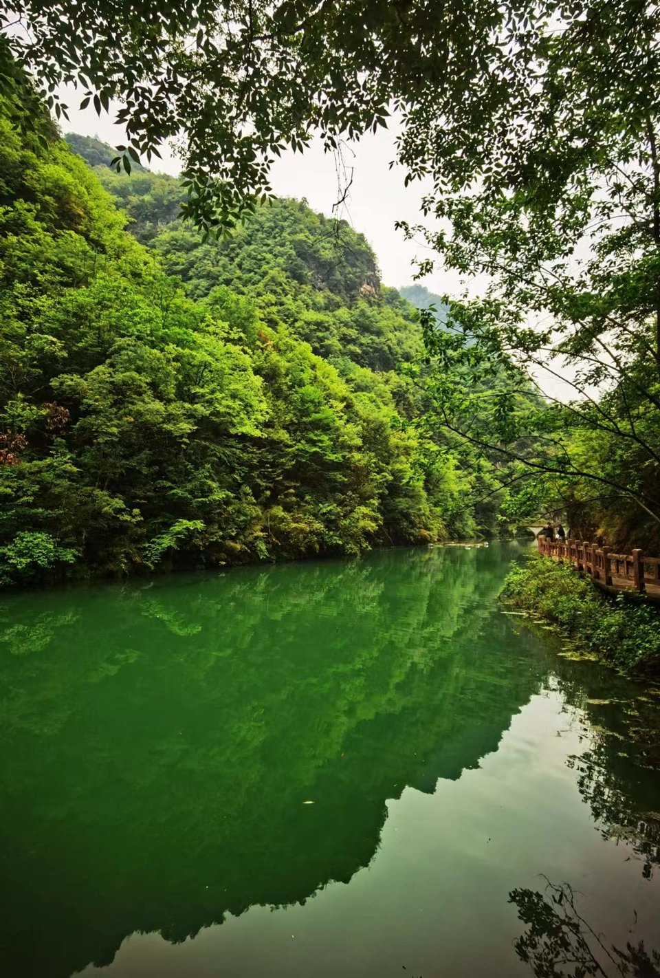 5I9JzBsd_S5ScIeQ_x_uovBRWJzpmKtILkU-kLt00xUalMcI2Vsoib1ywZwUWkcg