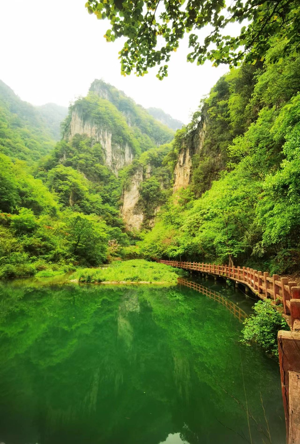 5I9JzBsd_S5ScIeQ_x_uoiBMhU1Sl8YiD5V9oLW1pEelcih94mBQdegWajqanHjC