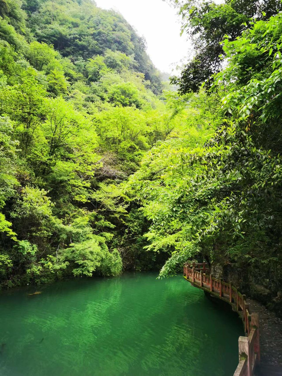 5I9JzBsd_S5ScIeQ_x_uolOfaJT2Bplpgz2zHiVQHDSqVvOnGrk8TmnfTQlHoXPk