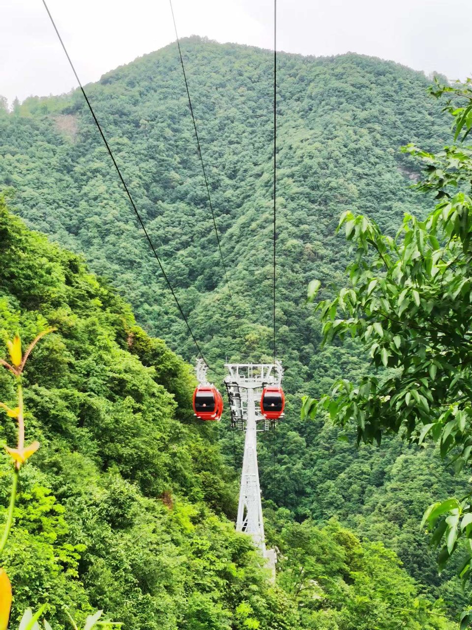 zCbky2TML9828qVZ_hINay6Jb1sHoPWxepayOdxQfA6-VMR02oliGUZL736kf9IN