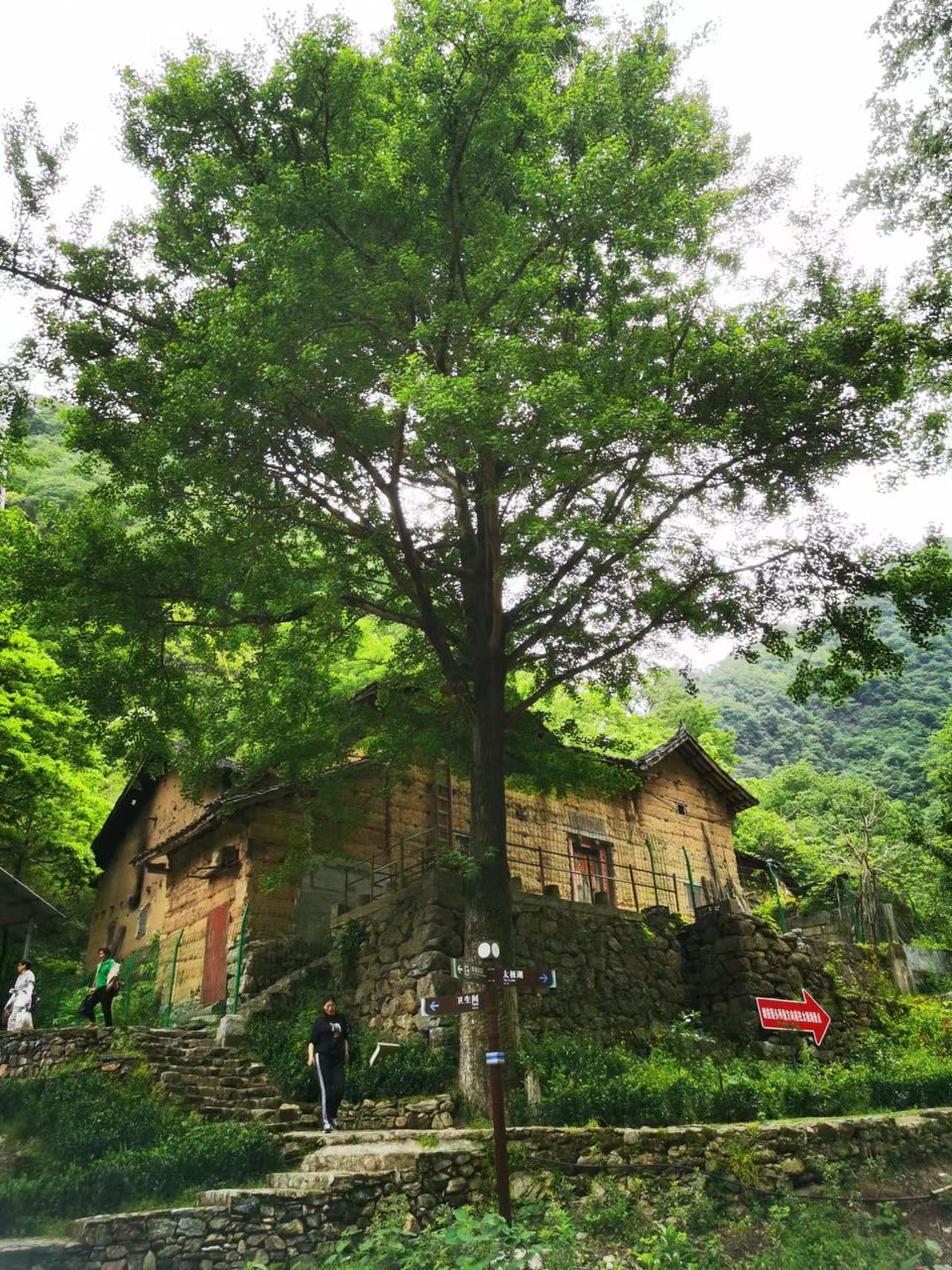 zCbky2TML9828qVZ_hINa-4UOlKWTYp6M25csaHuS32YHXNA7ydpCDWk__VCkv9u