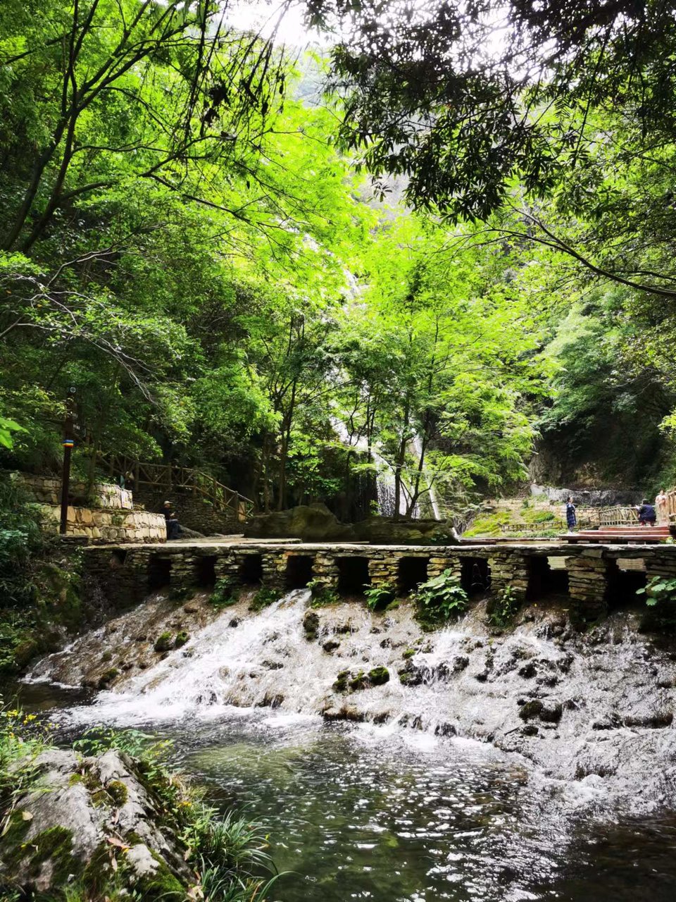 zCbky2TML9828qVZ_hINa3dxCS4ZegTmfMP8uOcntZmkSZ-FEOMfixggabh9La7D