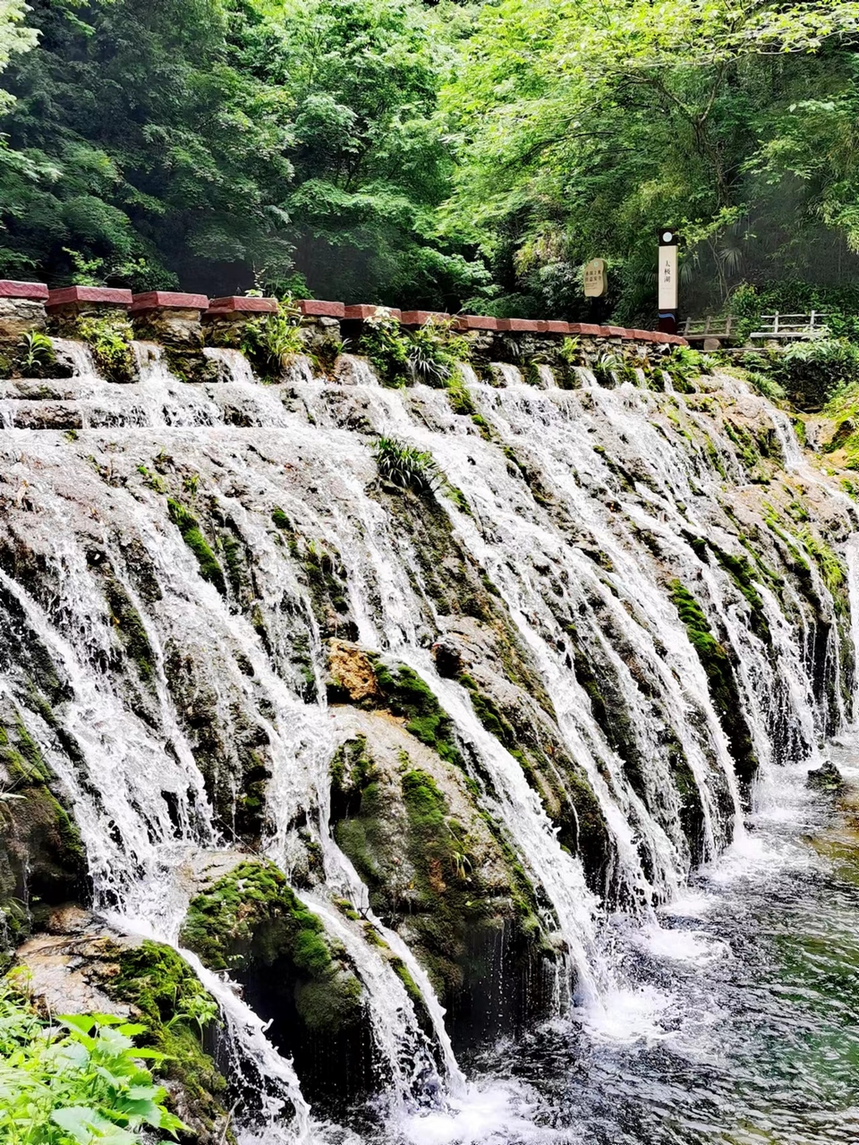 zCbky2TML9828qVZ_hINa1TjWsESiSxu7PYpbexPZqkDodSl3Ca7la9u1OXF3N_w