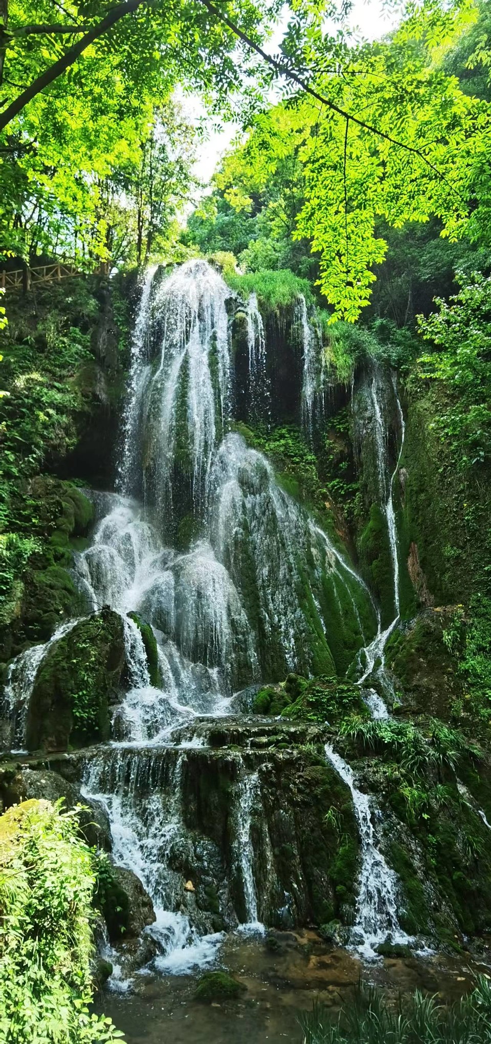 zCbky2TML9828qVZ_hINa0_HwzCtL06zphFihUzp_F0eYGiO_GQykLFjFrcuvGv2