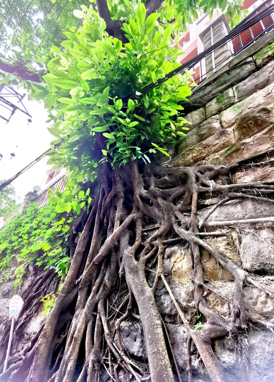 y_HBLGWEPPKiEY6JAdhDI03dvQhYMZ2yfssjz28lo_c3nV7MxUfAYYOykSFFPB_d