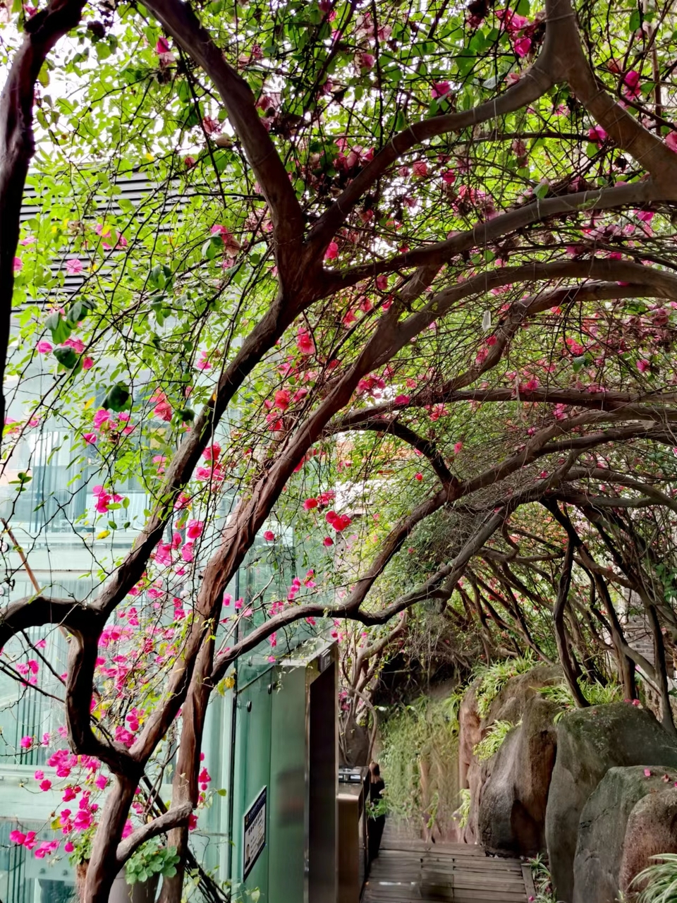 y_HBLGWEPPKiEY6JAdhDI8v02p6ajjo7Sx6L3ZK9afy5MvtlD0DNc97c7u7thFJo