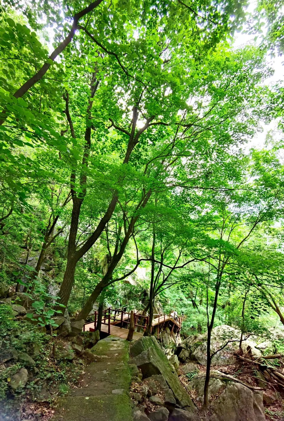 9GKAZMJIq2JLPvUjPE1PEgoHrk0UhsG9_4CDn-l45Oud7DIgLniIrTbNWyb7p3t4