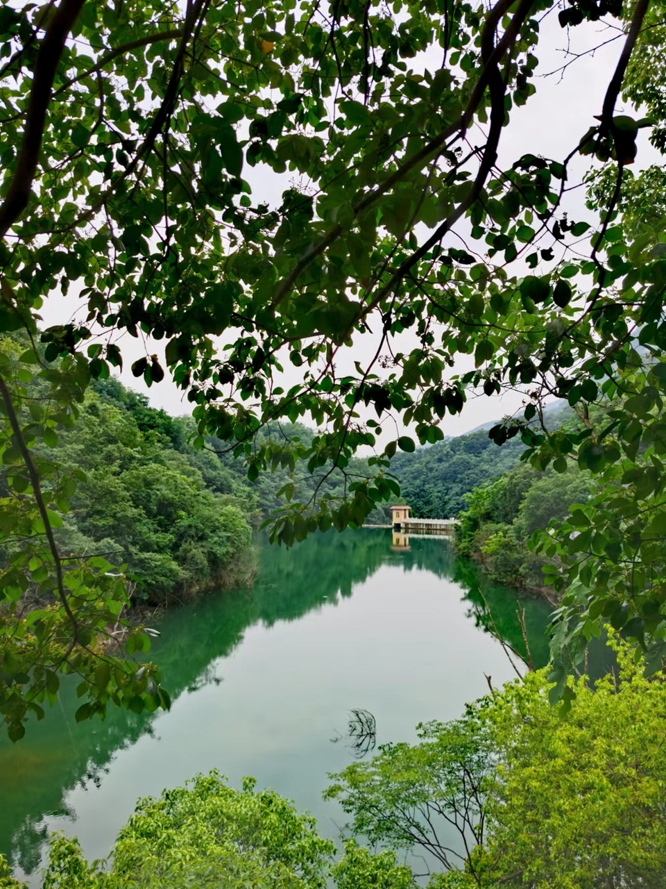 9GKAZMJIq2JLPvUjPE1PEuvpoWIAMwJu23vYlASOnGAxMYCJGEkKRWgF9yOIW7sk