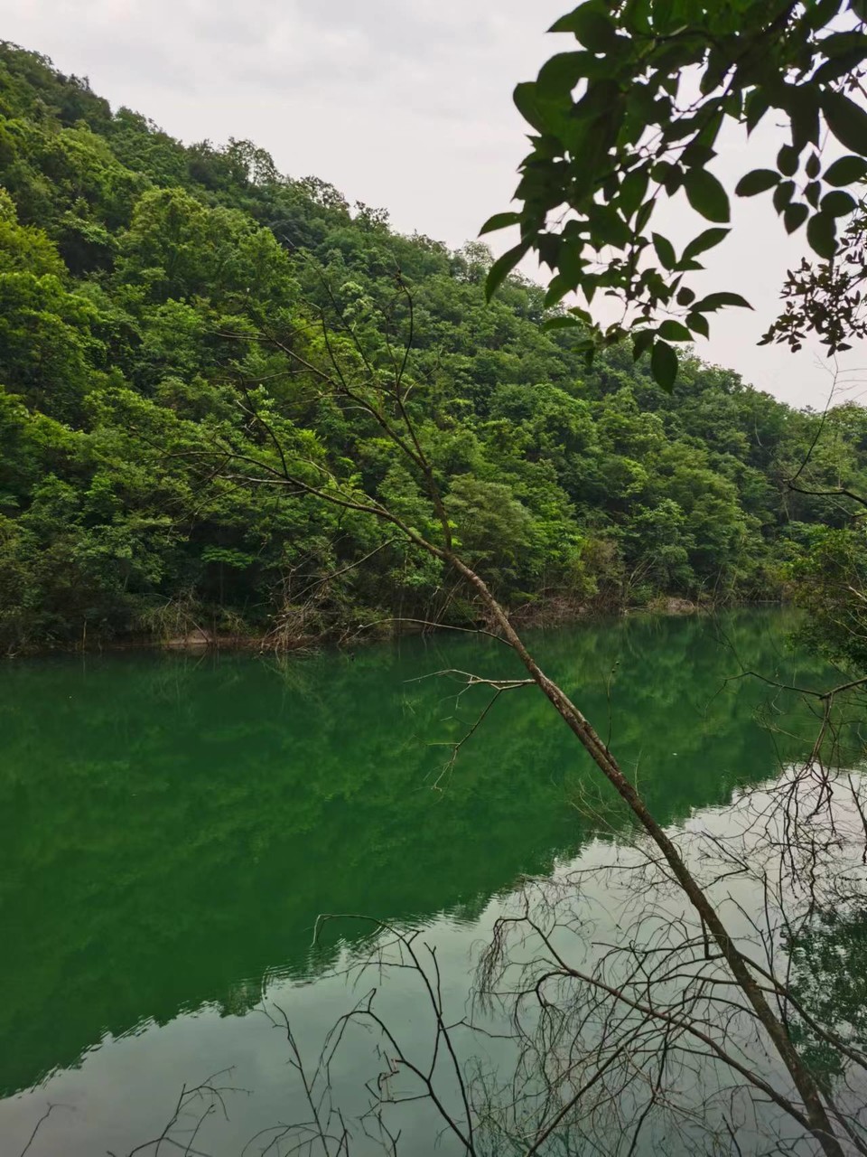 9GKAZMJIq2JLPvUjPE1PEmQUxNBXMiglWMsNdnrPR5rddtug4iuWa7-OQ6nZdJJM