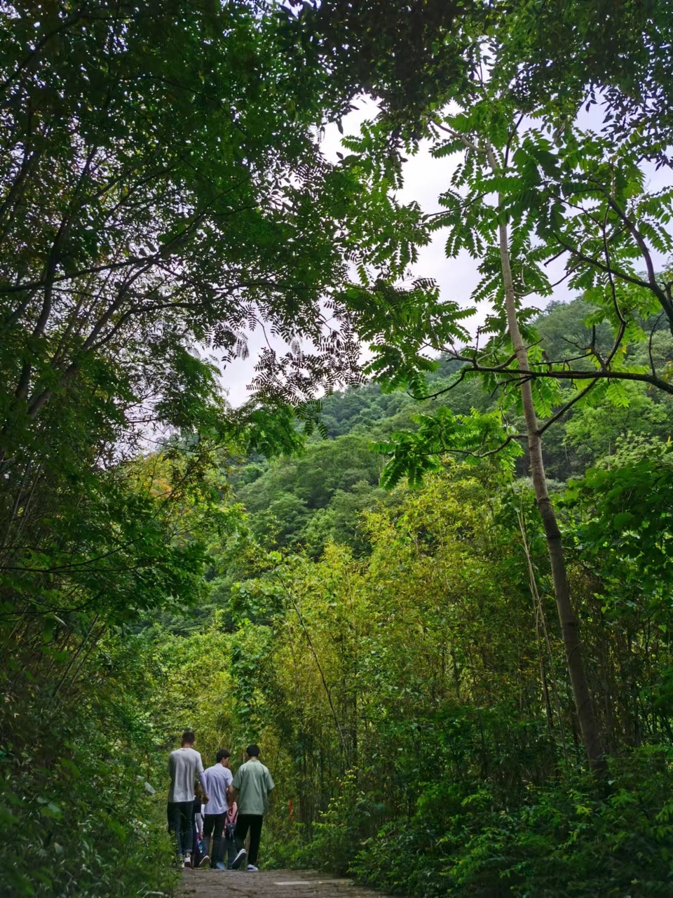 9GKAZMJIq2JLPvUjPE1PEk-DgdVi_rLD41p3uhZmXolSlqK5zeKLGhRdppsCgcVE