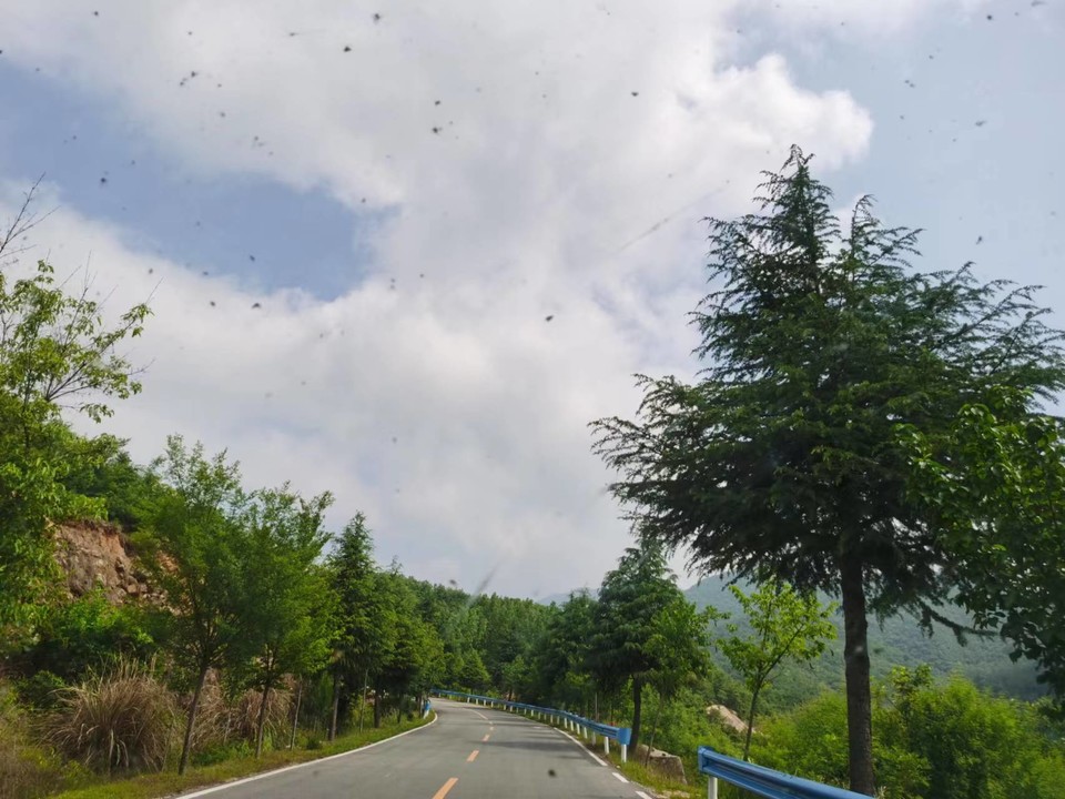 x7IJ3-aaWVZAJ3wvTU6AVVH4CbDfMaaX7ZrqijdE7qjzVJOPM1KOxJlHfDawLI_A