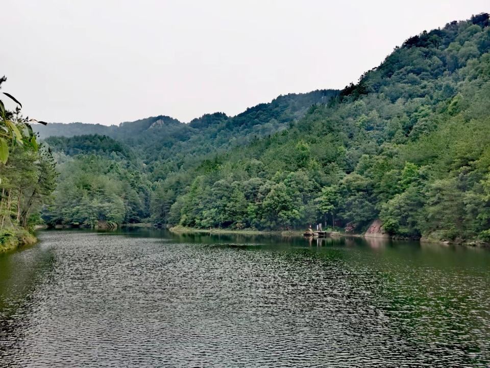 tsF5bHlgGLX6oOQwmlWLQMDyem7RaYbWRFKOTB0JYVD7XNcDFnZ_jyyROAxFmrdA