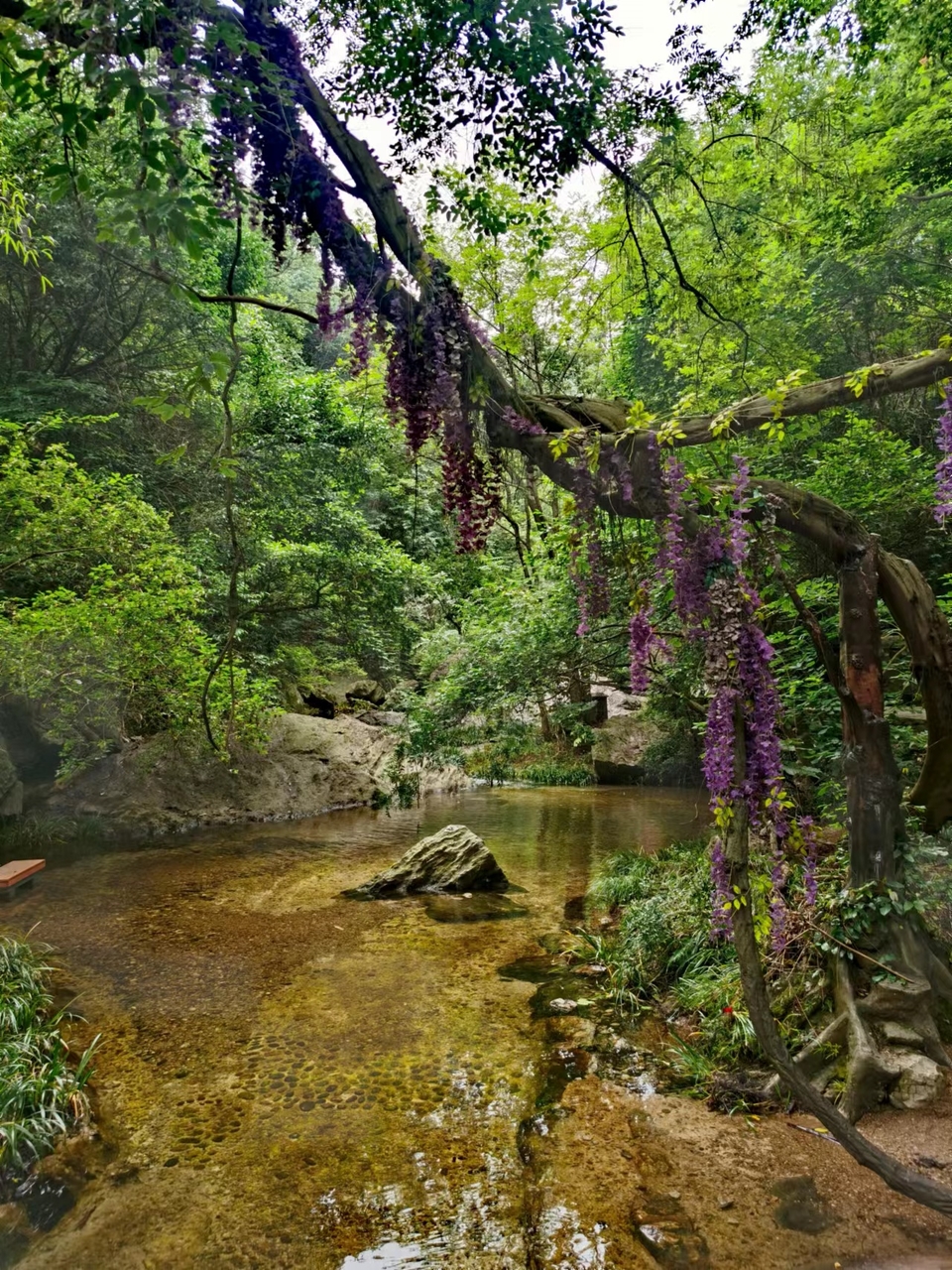 tsF5bHlgGLX6oOQwmlWLQCUJchRECd1sQqjlABh5gJca9DZ0bbEuUTcDEzWQd6zF