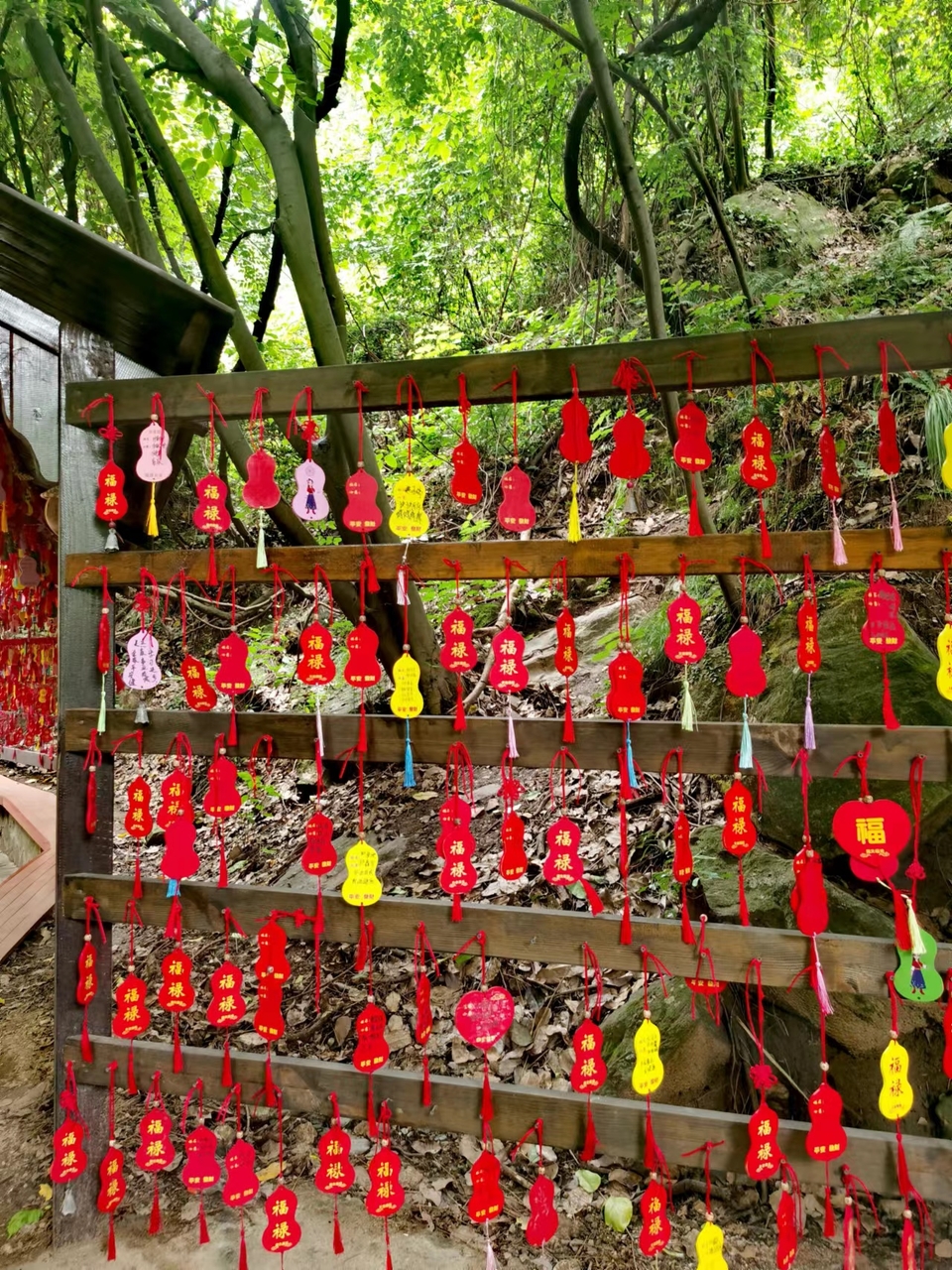 tsF5bHlgGLX6oOQwmlWLQB_Ryn-zF1owjUymgqA8pgxu3zygGN8NIXph-TXv34ZZ