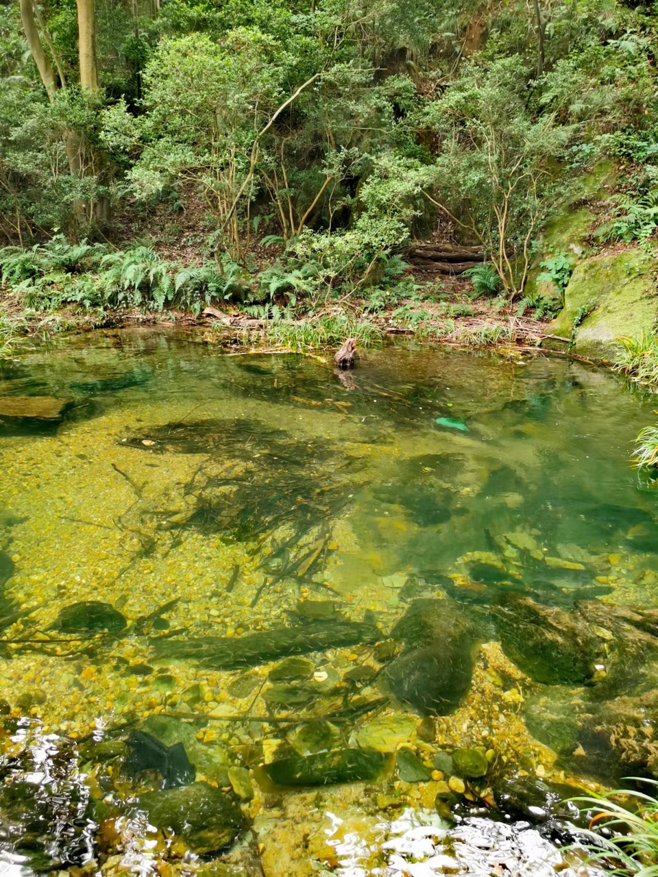 tsF5bHlgGLX6oOQwmlWLQMJXJz5h5eF2UsXJrY4vDxEwzhj5AUuDcVv2fdV2PBsK