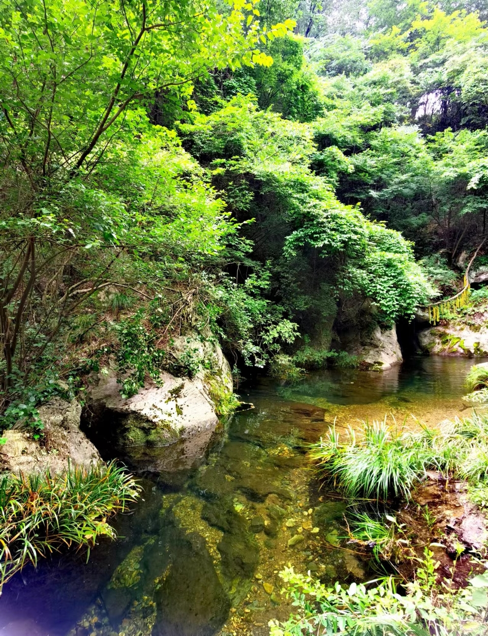 tsF5bHlgGLX6oOQwmlWLQK9BYzLN5TJl8geqkTXyHv6nQyB6_81MD2jg4q62Zw1k