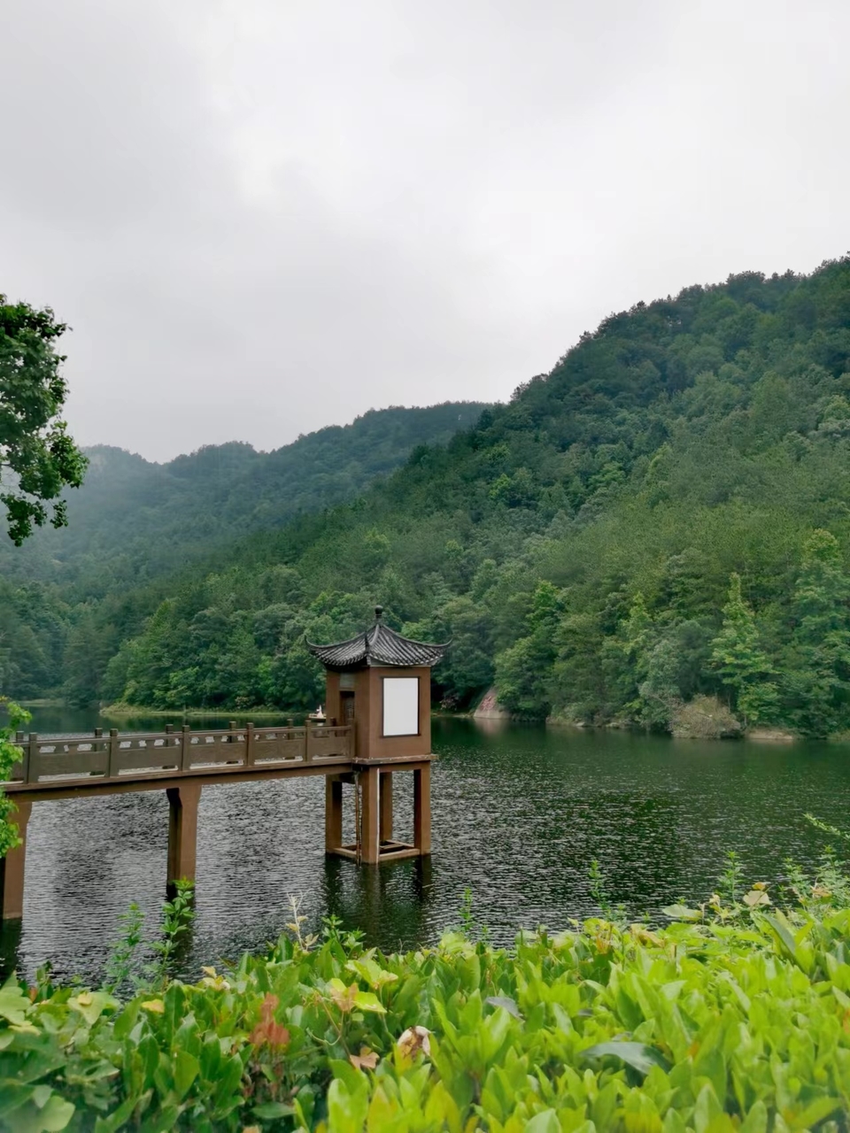 tsF5bHlgGLX6oOQwmlWLQDOr_MGhEjsi5GKdX0DUpvUNsr1o9Rf9mKI4eZbASycx