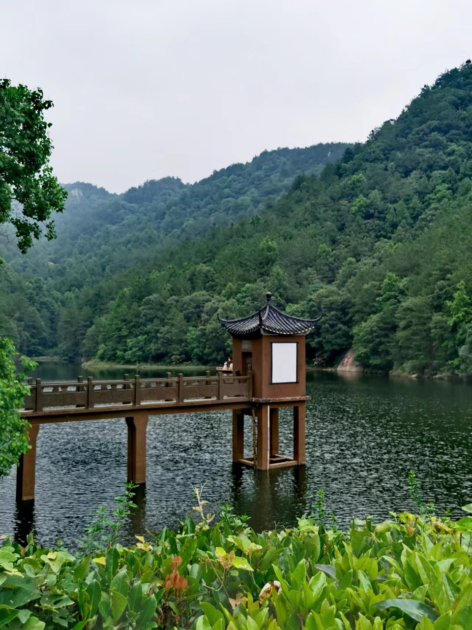 tsF5bHlgGLX6oOQwmlWLQB6WpJnbQo3BfpTqlxAzZ0pa8JFphMOlP-zQTAQD4r2p