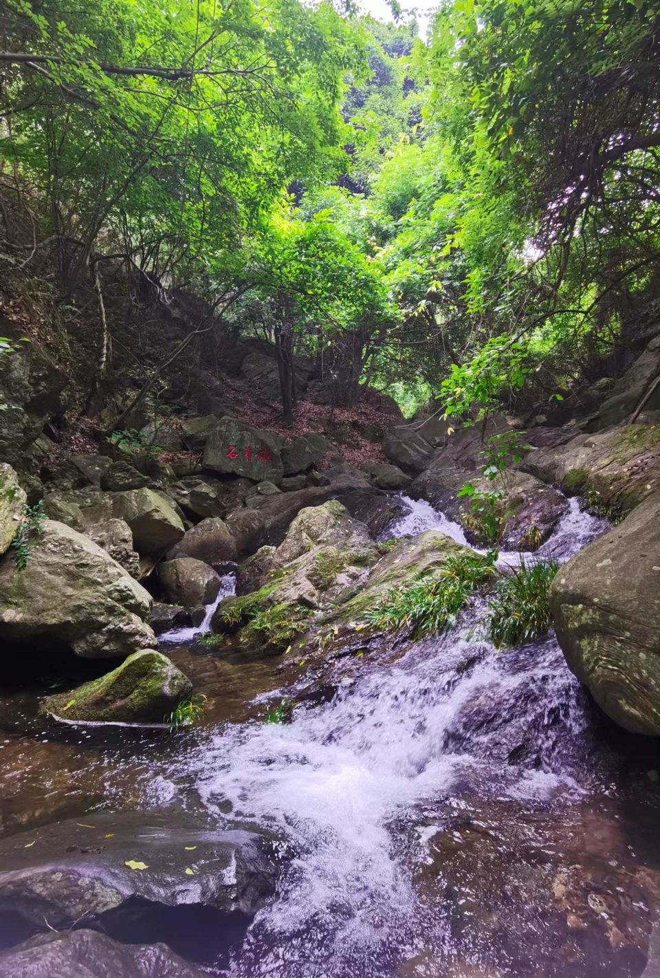 tsF5bHlgGLX6oOQwmlWLQL39aZuejb99EQjfXM_6px4dFNDVMzoZdvoC_DkrODQy