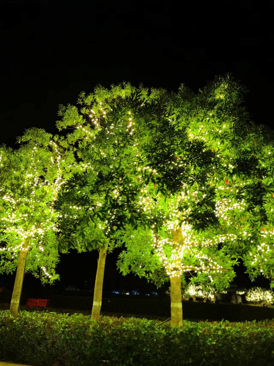 tsF5bHlgGLX6oOQwmlWLQMl8AqkN0-Gbpf8sT-yft-LeYOp9r-xcSW9FrLopOjIH