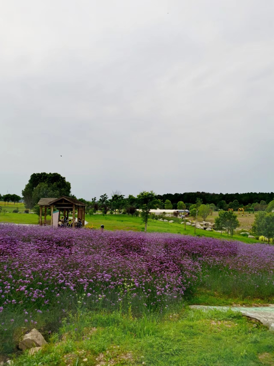 tsF5bHlgGLX6oOQwmlWLQHoZ__gbZhEY8qDGejgAqvzhvob7YwOFCUedVnPTQJ4g