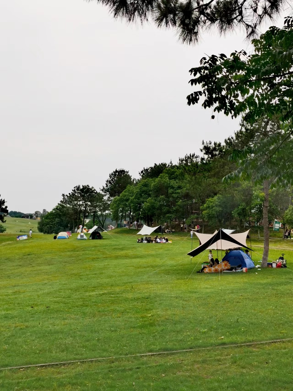 tsF5bHlgGLX6oOQwmlWLQBFPS-IgUV9F9px6yB4a6Wr4dbf_0QtuaaVkj1oIlV4o