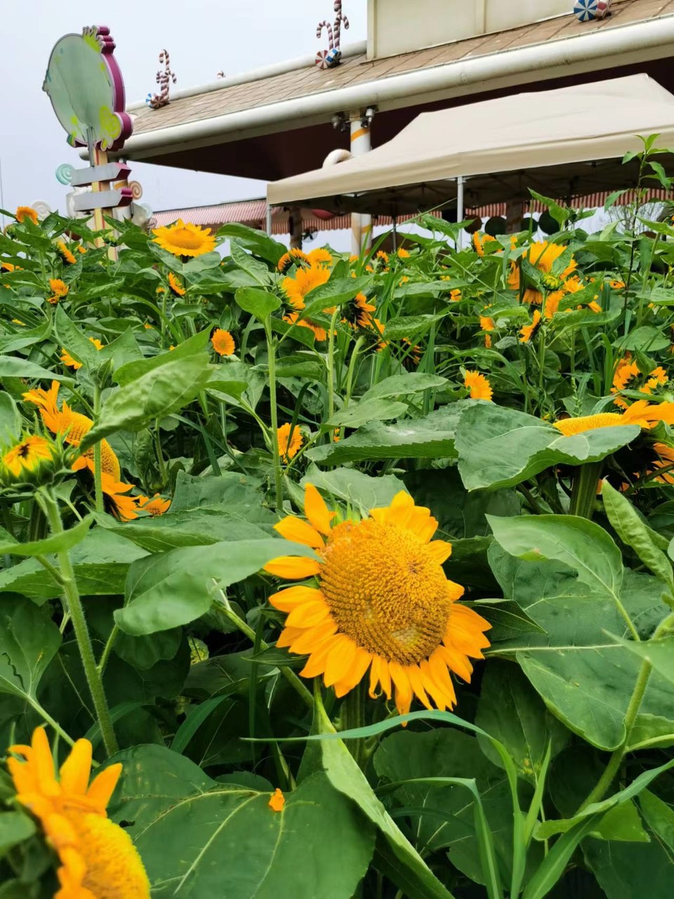 tsF5bHlgGLX6oOQwmlWLQCV8c9BIl5whTuBcyrH6tDhIYEhhZ3bpWWccP1me2eCx